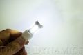 Picture of 7443 LED Bulb XP80 LED Cool White Pair Diode Dynamics