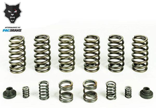 Picture of Spring Kit 6 HD Valve Springs For 94-98 Dodge Ram 2500/3500 Cummins 12 Valve Engine W/ P7100 Injection Pump Pacbrake