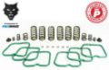 Picture of Premium Spring Kit 6 Springs For 94-98 Dodge Ram 2500/3500 Cummins 12 Valve Engine With a P7100 Injection Pump Pacbrake