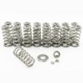 Picture of GM Performance Valve Spring Kit For 01-16 6.6L Duramax 130lb. Industrial Injection