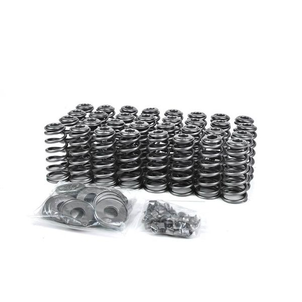 Picture of Performance Valve Springs and Retainer Kit