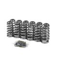 Picture of Performance Valve Springs & Retainer Kit XDP