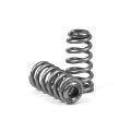 Picture of Performance Valve Springs & Retainer Kit XDP